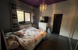 Casa individuala, 434 mp, parcare, 947 mp curte, zona Campului 