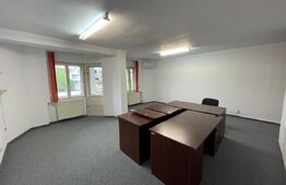 Casa individuala, 12 camere, pod și demisol, Andrei Muresanu