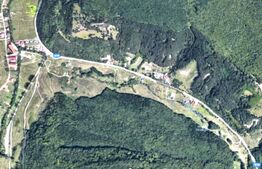 Blitz - Teren Făget intravilan 1.539 mp, lângă pădure!