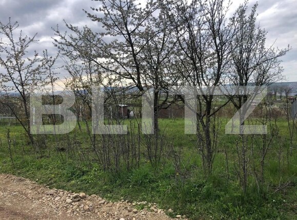 Teren de vânzare Sopor - 144072TV | BLITZ Cluj-Napoca | Poza3