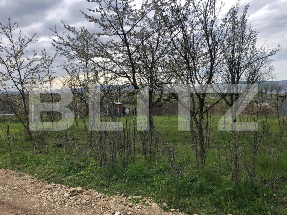 Teren de vânzare Sopor - 144072TV | BLITZ Cluj-Napoca | Poza4