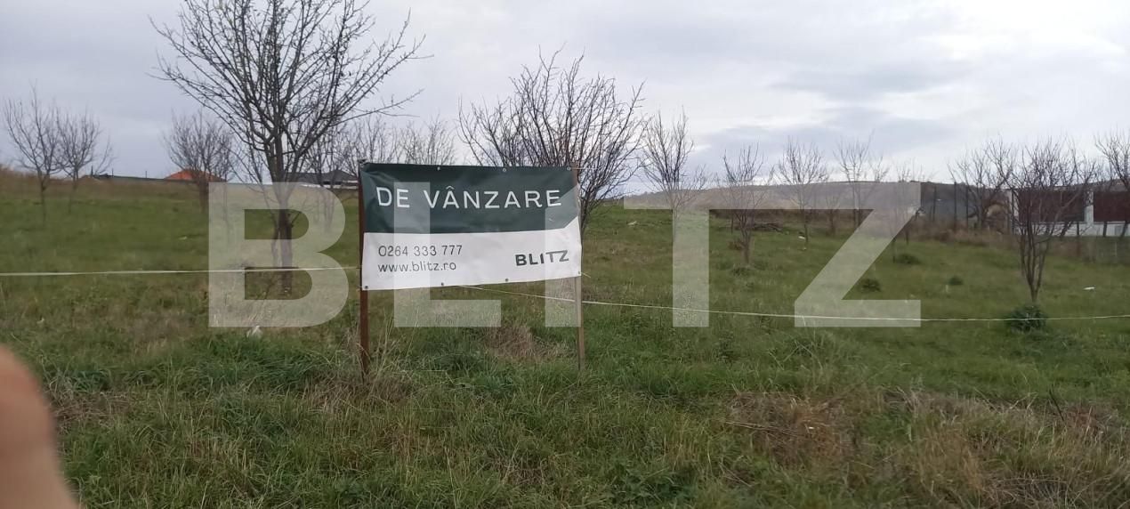 Teren de vânzare Chinteni - 144075TV | BLITZ Cluj-Napoca | Poza2