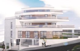 Apartament cu 4 camere in vila, garaj, zona Eugen Ionescu