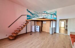 4 apartamente de o camera pentru investitie,  Zona Primarie