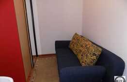 Apartament cu 2 camere, 30 mp, recent renovat, strada Aleea Busteni!