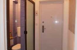 Apartament cu 2 camere, 30 mp, recent renovat, strada Aleea Busteni!