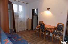 Apartament cu 2 camere, 30 mp, recent renovat, strada Aleea Busteni!