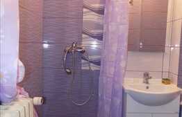 Apartament cu 2 camere, 30 mp, recent renovat, strada Aleea Busteni!