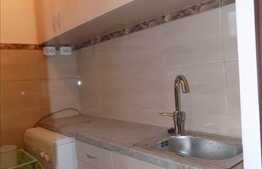 Apartament cu 2 camere, 30 mp, recent renovat, strada Aleea Busteni!