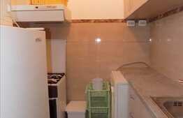 Apartament cu 2 camere, 30 mp, recent renovat, strada Aleea Busteni!