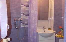 Apartament cu 2 camere, 30 mp, recent renovat, strada Aleea Busteni!