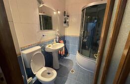 Casa individuala, 4 camere, 200 mp, 500 mp curte, pet friendly, zona Câmpului