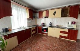 Casa individuala, 4 camere, 200 mp, 500 mp curte, pet friendly, zona Câmpului