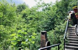 Reședință cu destinație de pensiune, 382mp utili si 1000mp teren, în Sinaia