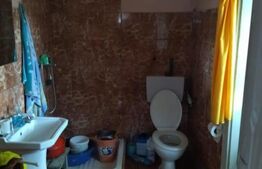 Casa Frasinet Baisoara, 100 mp utili, 1ha teren