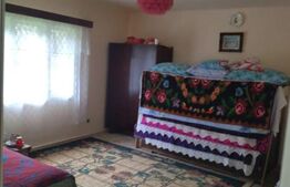 Casa Frasinet Baisoara, 100 mp utili, 1ha teren