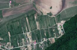 Teren extravilan 4000 mp in Salicea ,zona Herghelie!