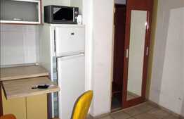 1 camera, 28 mp, mobilat modern, zona strazii Nicolae Titulescu