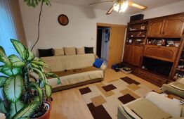 Apartament de 3 camere, 47mp, semidecomandat, zona Parang