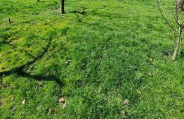 Teren intravilan, 1050 mp, zona Tauti