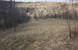 Teren intravilan, cu casa, 13800 mp, Suceagu