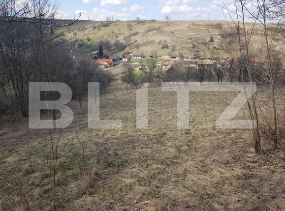 Teren de vânzare Suceagu - 144305TV | BLITZ Cluj-Napoca | Poza2