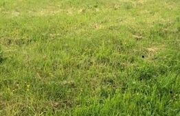 Exclusivitate! Teren intravilan 673 mp, panorama, Dâmbu Rotund