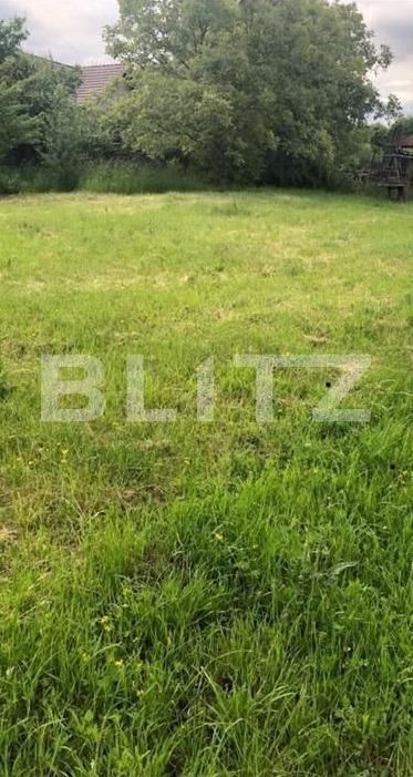 Teren de vânzare Dambul Rotund - 144338TV | BLITZ Cluj-Napoca | Poza2