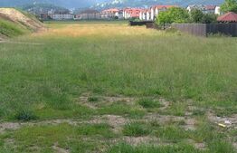 Teren intravilan 5000 mp, in Tractoru 