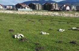 Teren construibil, 4375 mp, in Stupini 