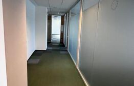 Spatiu compartimentat, modern, ready to use 