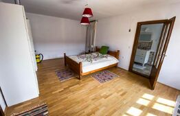 Casa saseasca deosebita 8 camere, 1826 mp teren, Codlea