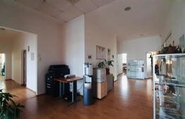 Cladire de birouri, 1275 mp, curte de 1600 mp, Dambu Rotund