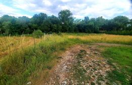 Teren intravilan 1430mp, cu PUZ in lucru, in Becas