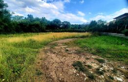 Teren intravilan 1430mp, cu PUZ in lucru, in Becas