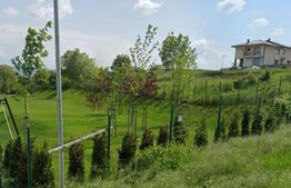 Teren intravilan, 873mp, cu Puz aprobat, utilitati, in Dambul Rotund 