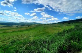 Teren extravilan 5800 mp, in zona strazii Lombului