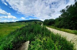 Teren extravilan 5800 mp, in zona strazii Lombului