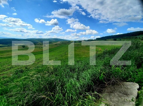 Teren de vânzare Exterior Nord - 144487TV | BLITZ Cluj-Napoca | Poza6