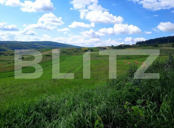 Teren de vânzare Exterior Nord - 144487TV | BLITZ Cluj-Napoca | Poza5