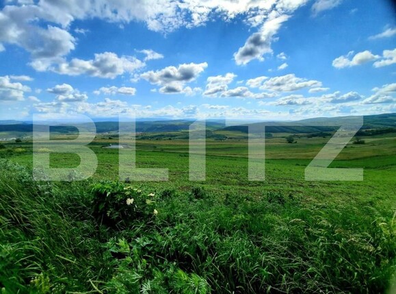 Teren de vânzare Exterior Nord - 144487TV | BLITZ Cluj-Napoca | Poza1