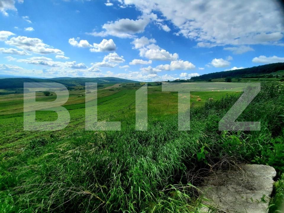 Teren de vânzare Exterior Nord - 144487TV | BLITZ Cluj-Napoca | Poza6