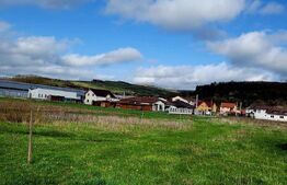 Teren intravilan 18000mp, cu destinatie multipla situat in Gherla