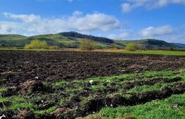 Teren intravilan 18000mp, cu destinatie multipla situat in Gherla