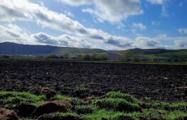 Teren intravilan 18000mp, cu destinatie multipla situat in Gherla