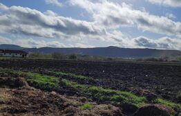 Teren intravilan 18000mp, cu destinatie multipla situat in Gherla