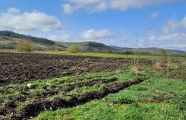 Teren intravilan 18000mp, cu destinatie multipla situat in Gherla