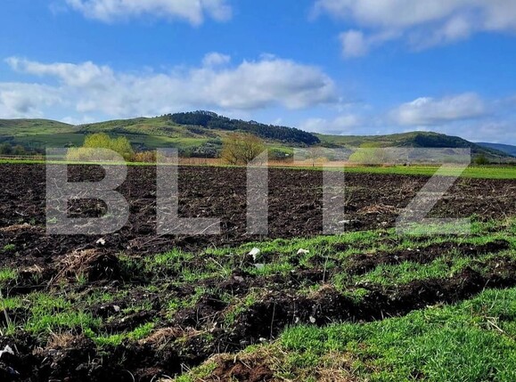 Teren de vânzare Exterior Est - 144491TV | BLITZ Cluj-Napoca | Poza5