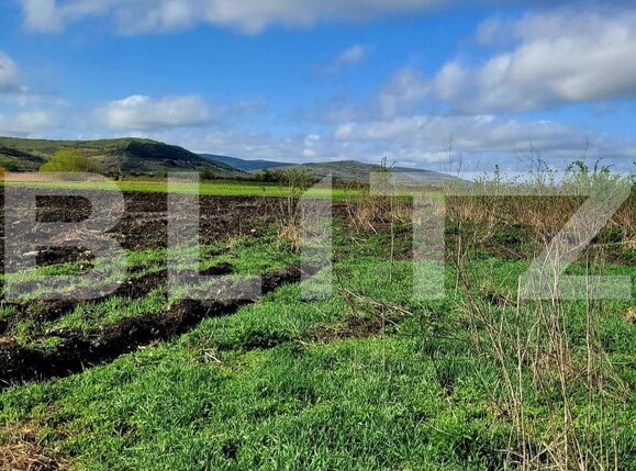 Teren de vânzare Exterior Est - 144491TV | BLITZ Cluj-Napoca | Poza6