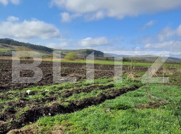 Teren de vânzare Exterior Est - 144491TV | BLITZ Cluj-Napoca | Poza7